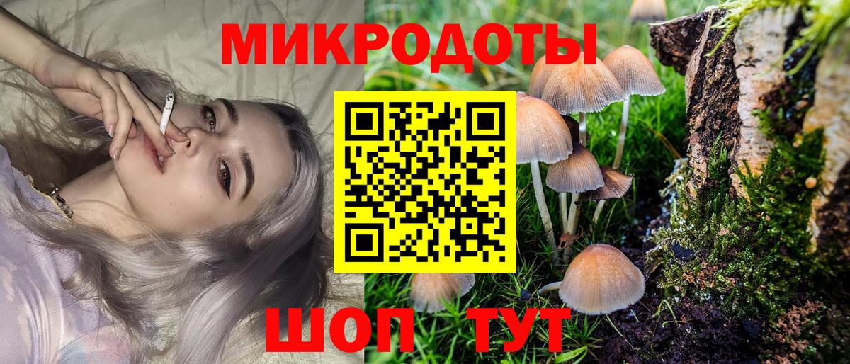 Партизанск  Галлюциногенные грибы Cubensis  Вход с VPN  Псилоцибиновые грибы мухоморы 