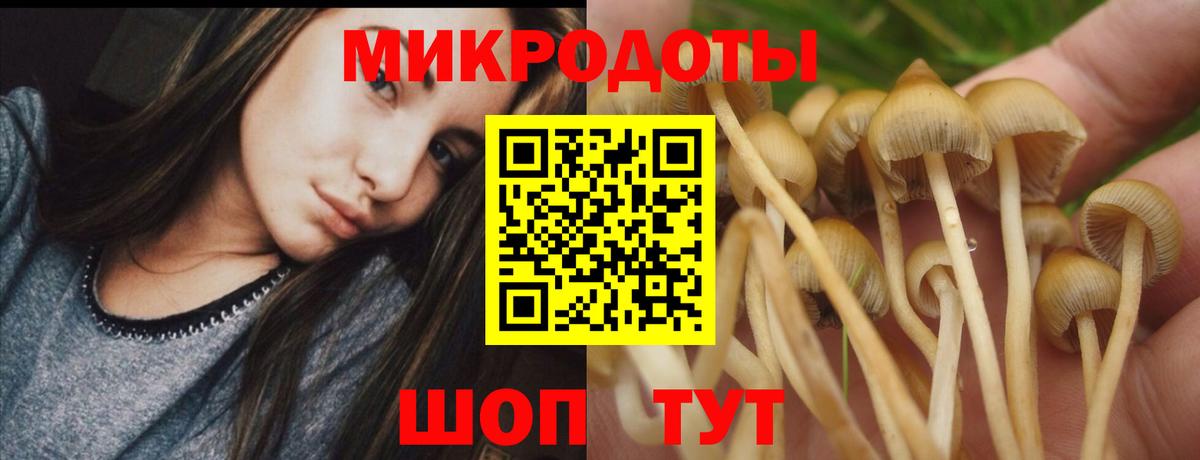 Псилоцибиновые грибы GOLDEN TEACHER Партизанск