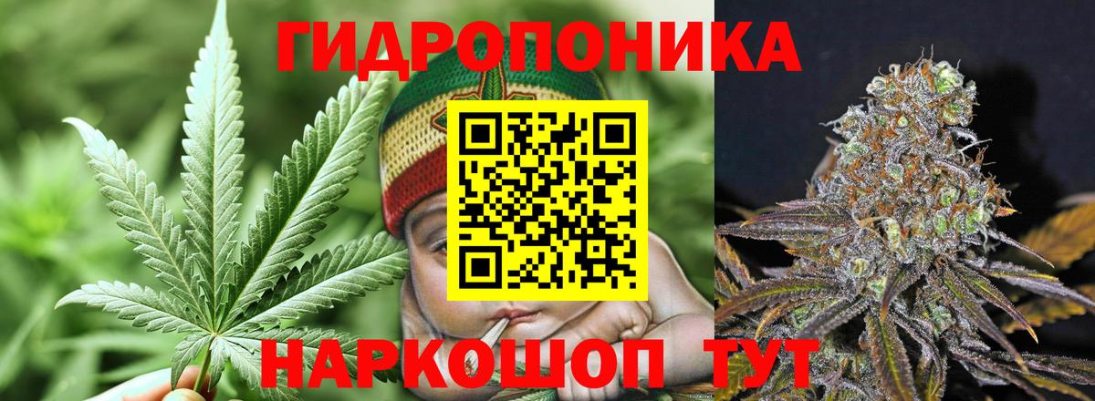 Конопля VHQ Партизанск